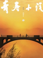 久久视频精品